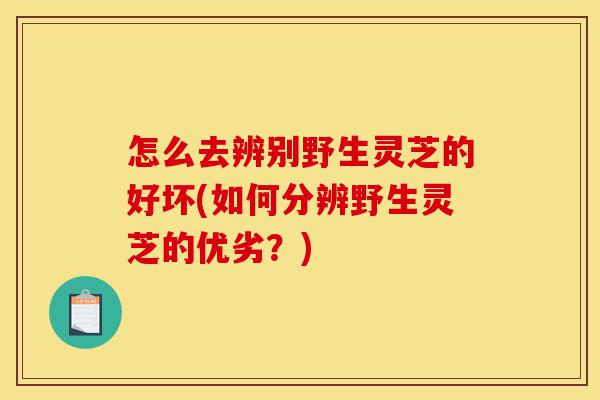 怎么去辨别野生灵芝的好坏(如何分辨野生灵芝的优劣?)-第1张图片-灵芝之家 怎么去辨别野生灵芝的好坏(如何分辨野生灵芝的优劣?)-第1张图片-灵芝之家