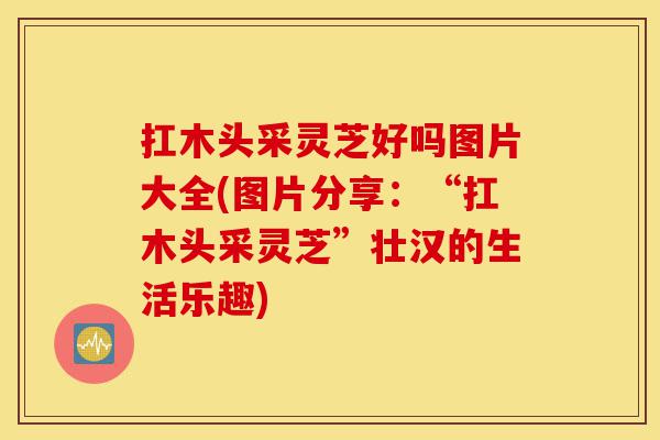 扛木头采灵芝好吗图片大全(图片分享：“扛木头采灵芝”壮汉的生活乐趣)-第1张图片-灵芝之家