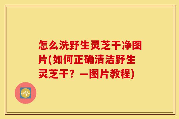 怎么洗野生灵芝干净图片(如何正确清洁野生灵芝干？—图片教程)-第1张图片-灵芝之家