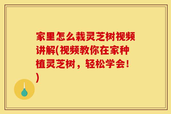 家里怎么栽灵芝树视频讲解(视频教你在家种植灵芝树,轻松学会!)-第1张图片-灵芝之家 家里怎么栽灵芝树视频讲解(视频教你在家种植灵芝树,轻松学会!)-第1张图片-灵芝之家