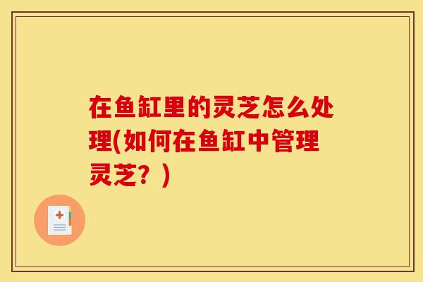 在鱼缸里的灵芝怎么处理(如何在鱼缸中管理灵芝?)-第1张图片-灵芝之家 在鱼缸里的灵芝怎么处理(如何在鱼缸中管理灵芝?)-第1张图片-灵芝之家
