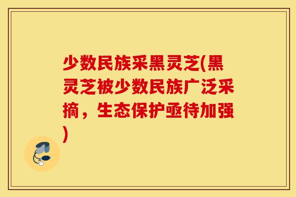少数民族采黑灵芝(黑灵芝被少数民族广泛采摘,生态保护亟待加强)-第1张图片-灵芝之家 少数民族采黑灵芝(黑灵芝被少数民族广泛采摘,生态保护亟待加强)-第1张图片-灵芝之家