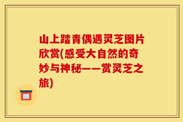 山上踏青偶遇灵芝图片欣赏(感受大自然的奇妙与神秘——赏灵芝之旅)-第1张图片-灵芝之家 山上踏青偶遇灵芝图片欣赏(感受大自然的奇妙与神秘——赏灵芝之旅)-第1张图片-灵芝之家