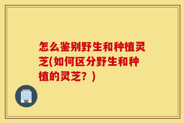怎么鉴别野生和种植灵芝(如何区分野生和种植的灵芝?)-第1张图片-灵芝之家 怎么鉴别野生和种植灵芝(如何区分野生和种植的灵芝?)-第1张图片-灵芝之家