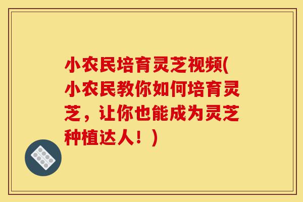 小农民培育灵芝视频(小农民教你如何培育灵芝,让你也能成为灵芝种植达人!)-第1张图片-灵芝之家 小农民培育灵芝视频(小农民教你如何培育灵芝,让你也能成为灵芝种植达人!)-第1张图片-灵芝之家
