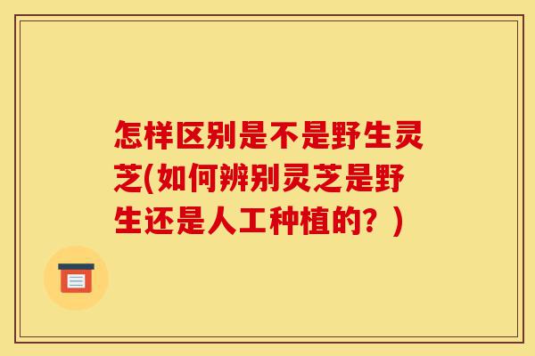 怎样区别是不是野生灵芝(如何辨别灵芝是野生还是人工种植的?)-第1张图片-灵芝之家 怎样区别是不是野生灵芝(如何辨别灵芝是野生还是人工种植的?)-第1张图片-灵芝之家