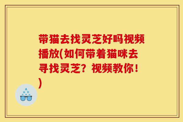带猫去找灵芝好吗视频播放(如何带着猫咪去寻找灵芝?视频教你!)-第1张图片-灵芝之家 带猫去找灵芝好吗视频播放(如何带着猫咪去寻找灵芝?视频教你!)-第1张图片-灵芝之家
