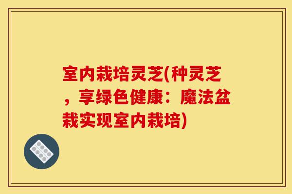 室内栽培灵芝(种灵芝，享绿色健康：魔法盆栽实现室内栽培)-第1张图片-灵芝之家
