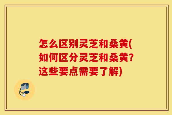 怎么区别灵芝和桑黄(如何区分灵芝和桑黄?这些要点需要了解)-第1张图片-灵芝之家 怎么区别灵芝和桑黄(如何区分灵芝和桑黄?这些要点需要了解)-第1张图片-灵芝之家