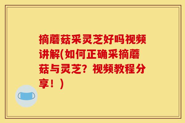 摘蘑菇采灵芝好吗视频讲解(如何正确采摘蘑菇与灵芝?视频教程分享!)-第1张图片-灵芝之家 摘蘑菇采灵芝好吗视频讲解(如何正确采摘蘑菇与灵芝?视频教程分享!)-第1张图片-灵芝之家