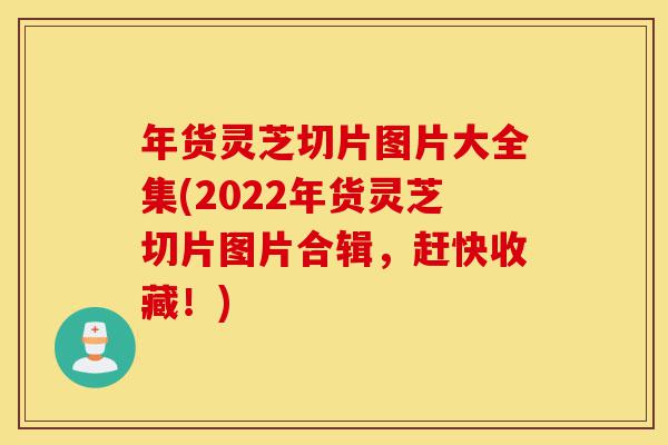 年货灵芝切片图片大全集(2022年货灵芝切片图片合辑，赶快收藏！)-第1张图片-灵芝之家