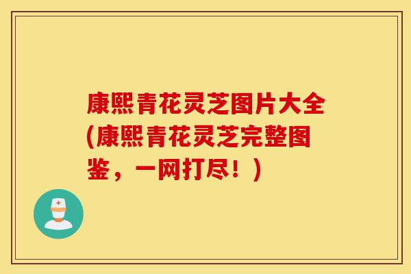 康熙青花灵芝图片大全(康熙青花灵芝完整图鉴，一网打尽！)-第1张图片-灵芝之家