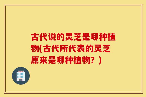 古代说的灵芝是哪种植物(古代所代表的灵芝原来是哪种植物?)-第1张图片-灵芝之家 古代说的灵芝是哪种植物(古代所代表的灵芝原来是哪种植物?)-第1张图片-灵芝之家