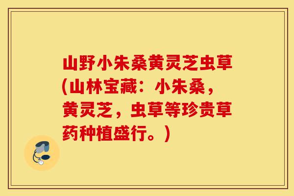 山野小朱桑黄灵芝虫草(山林宝藏:小朱桑,黄灵芝,虫草等珍贵草药种植盛行。)-第1张图片-灵芝之家 山野小朱桑黄灵芝虫草(山林宝藏:小朱桑,黄灵芝,虫草等珍贵草药种植盛行。)-第1张图片-灵芝之家
