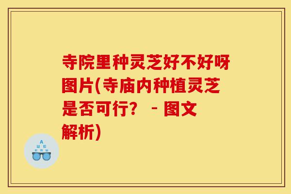 寺院里种灵芝好不好呀图片(寺庙内种植灵芝是否可行? - 图文解析)-第1张图片-灵芝之家 寺院里种灵芝好不好呀图片(寺庙内种植灵芝是否可行? - 图文解析)-第1张图片-灵芝之家