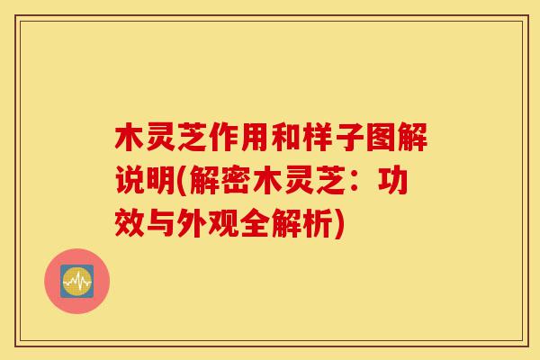木灵芝作用和样子图解说明(解密木灵芝：功效与外观全解析)-第1张图片-灵芝之家