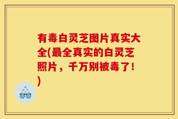 有毒白灵芝图片真实大全(最全真实的白灵芝照片，千万别被毒了！)-第1张图片-灵芝之家