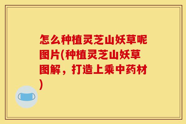 怎么种植灵芝山妖草呢图片(种植灵芝山妖草图解，打造上乘中药材)-第1张图片-灵芝之家