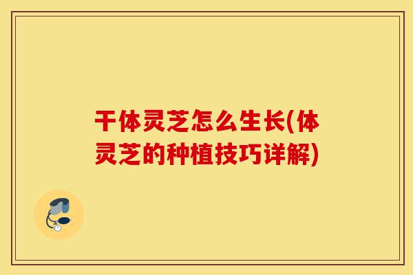 干体灵芝怎么生长(体灵芝的种植技巧详解)-第1张图片-灵芝之家 干体灵芝怎么生长(体灵芝的种植技巧详解)-第1张图片-灵芝之家