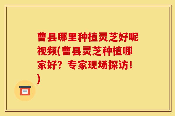 曹县哪里种植灵芝好呢视频(曹县灵芝种植哪家好？专家现场探访！)-第1张图片-灵芝之家