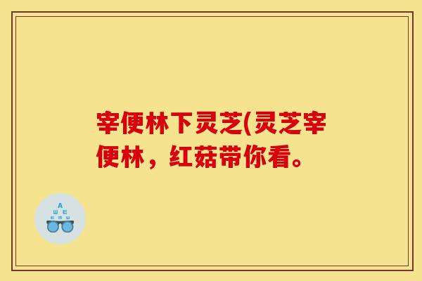宰便林下灵芝(灵芝宰便林,红菇带你看。-第1张图片-灵芝之家 宰便林下灵芝(灵芝宰便林,红菇带你看。-第1张图片-灵芝之家