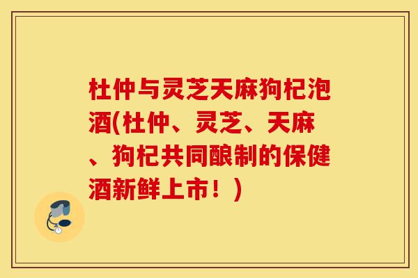 杜仲与灵芝天麻狗杞泡酒(杜仲、灵芝、天麻、狗杞共同酿制的保健酒新鲜上市！)-第1张图片-灵芝之家