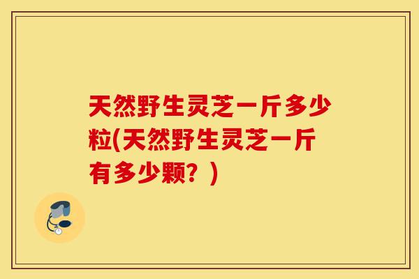 天然野生灵芝一斤多少粒(天然野生灵芝一斤有多少颗?)-第1张图片-灵芝之家 天然野生灵芝一斤多少粒(天然野生灵芝一斤有多少颗?)-第1张图片-灵芝之家