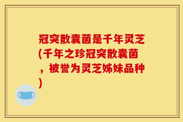 冠突散囊菌是千年灵芝(千年之珍冠突散囊菌,被誉为灵芝姊妹品种)-第1张图片-灵芝之家 冠突散囊菌是千年灵芝(千年之珍冠突散囊菌,被誉为灵芝姊妹品种)-第1张图片-灵芝之家