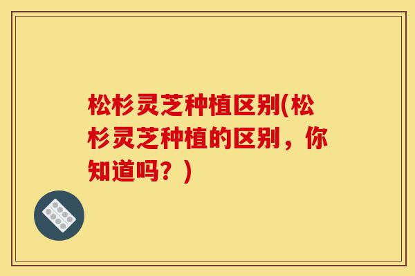 松杉灵芝种植区别(松杉灵芝种植的区别,你知道吗?)-第1张图片-灵芝之家 松杉灵芝种植区别(松杉灵芝种植的区别,你知道吗?)-第1张图片-灵芝之家