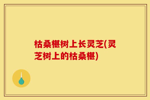 枯桑椹树上长灵芝(灵芝树上的枯桑椹)-第1张图片-灵芝之家 枯桑椹树上长灵芝(灵芝树上的枯桑椹)-第1张图片-灵芝之家