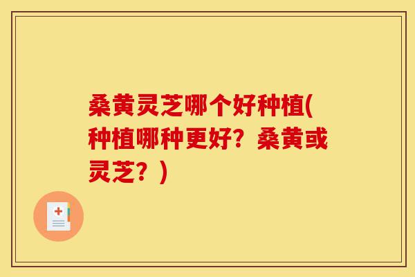 桑黄灵芝哪个好种植(种植哪种更好?桑黄或灵芝?)-第1张图片-灵芝之家 桑黄灵芝哪个好种植(种植哪种更好?桑黄或灵芝?)-第1张图片-灵芝之家