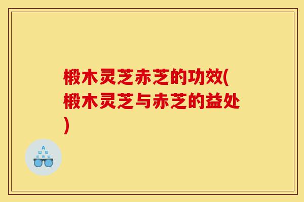 椴木灵芝赤芝的功效(椴木灵芝与赤芝的益处)-第1张图片-灵芝之家 椴木灵芝赤芝的功效(椴木灵芝与赤芝的益处)-第1张图片-灵芝之家