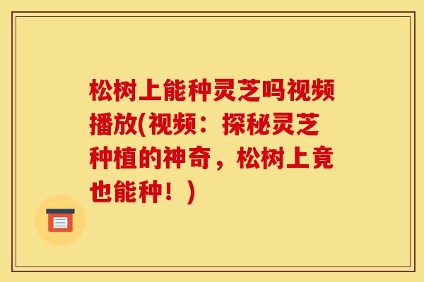 松树上能种灵芝吗视频播放(视频:探秘灵芝种植的神奇,松树上竟也能种!)-第1张图片-灵芝之家 松树上能种灵芝吗视频播放(视频:探秘灵芝种植的神奇,松树上竟也能种!)-第1张图片-灵芝之家
