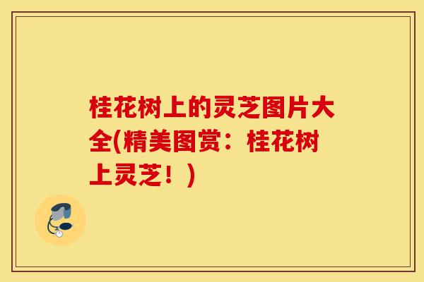 桂花树上的灵芝图片大全(精美图赏:桂花树上灵芝!)-第1张图片-灵芝之家 桂花树上的灵芝图片大全(精美图赏:桂花树上灵芝!)-第1张图片-灵芝之家