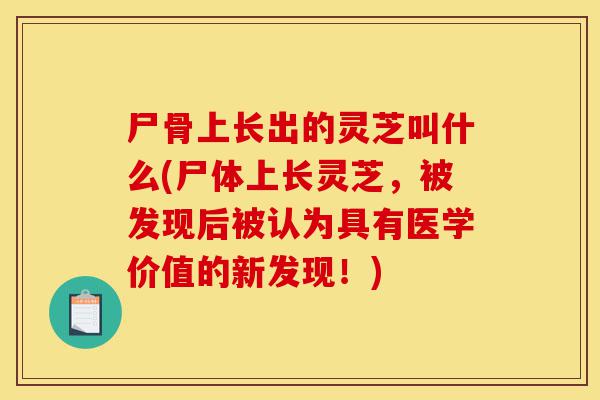 尸骨上长出的灵芝叫什么(尸体上长灵芝,被发现后被认为具有医学价值的新发现!)-第1张图片-灵芝之家 尸骨上长出的灵芝叫什么(尸体上长灵芝,被发现后被认为具有医学价值的新发现!)-第1张图片-灵芝之家
