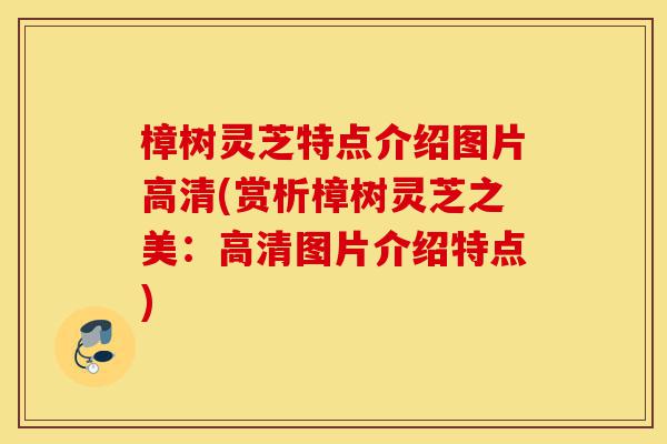 樟树灵芝特点介绍图片高清(赏析樟树灵芝之美:高清图片介绍特点)-第1张图片-灵芝之家 樟树灵芝特点介绍图片高清(赏析樟树灵芝之美:高清图片介绍特点)-第1张图片-灵芝之家