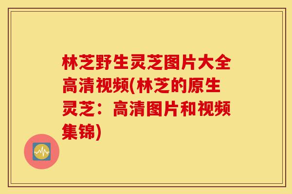 林芝野生灵芝图片大全高清视频(林芝的原生灵芝:高清图片和视频集锦)-第1张图片-灵芝之家 林芝野生灵芝图片大全高清视频(林芝的原生灵芝:高清图片和视频集锦)-第1张图片-灵芝之家