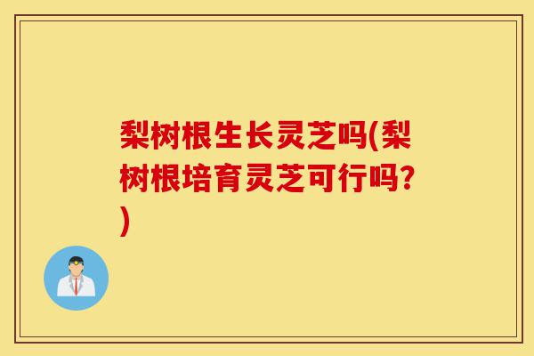 梨树根生长灵芝吗(梨树根培育灵芝可行吗?)-第1张图片-灵芝之家 梨树根生长灵芝吗(梨树根培育灵芝可行吗?)-第1张图片-灵芝之家