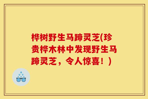 桦树野生马蹄灵芝(珍贵桦木林中发现野生马蹄灵芝,令人惊喜!)-第1张图片-灵芝之家 桦树野生马蹄灵芝(珍贵桦木林中发现野生马蹄灵芝,令人惊喜!)-第1张图片-灵芝之家