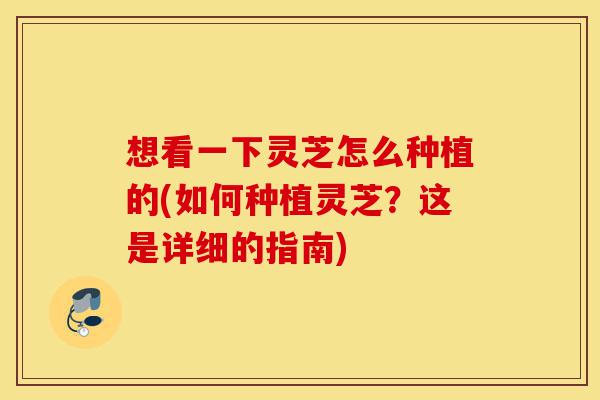 想看一下灵芝怎么种植的(如何种植灵芝?这是详细的指南)-第1张图片-灵芝之家 想看一下灵芝怎么种植的(如何种植灵芝?这是详细的指南)-第1张图片-灵芝之家