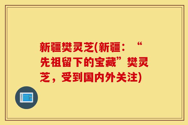新疆樊灵芝(新疆:“先祖留下的宝藏”樊灵芝,受到国内外关注)-第1张图片-灵芝之家 新疆樊灵芝(新疆:“先祖留下的宝藏”樊灵芝,受到国内外关注)-第1张图片-灵芝之家