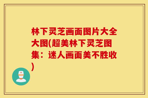林下灵芝画面图片大全大图(超美林下灵芝图集:迷人画面美不胜收)-第1张图片-灵芝之家 林下灵芝画面图片大全大图(超美林下灵芝图集:迷人画面美不胜收)-第1张图片-灵芝之家