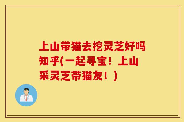 上山带猫去挖灵芝好吗知乎(一起寻宝！上山采灵芝带猫友！)-第1张图片-灵芝之家