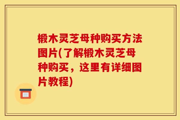 椴木灵芝母种购买方法图片(了解椴木灵芝母种购买，这里有详细图片教程)-第1张图片-灵芝之家