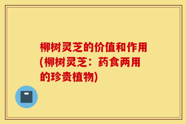 柳树灵芝的价值和作用(柳树灵芝:药食两用的珍贵植物)-第1张图片-灵芝之家 柳树灵芝的价值和作用(柳树灵芝:药食两用的珍贵植物)-第1张图片-灵芝之家