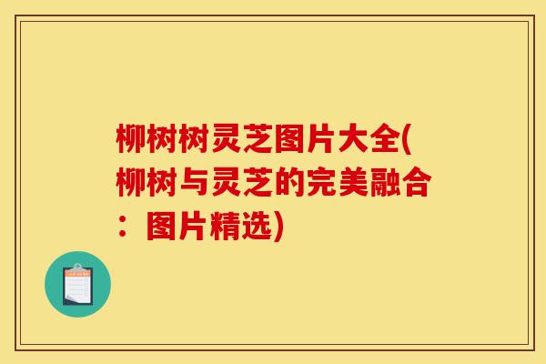 柳树树灵芝图片大全(柳树与灵芝的完美融合:图片精选)-第1张图片-灵芝之家 柳树树灵芝图片大全(柳树与灵芝的完美融合:图片精选)-第1张图片-灵芝之家