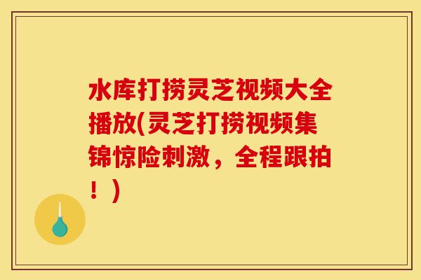 水库打捞灵芝视频大全播放(灵芝打捞视频集锦惊险刺激，全程跟拍！)-第1张图片-灵芝之家