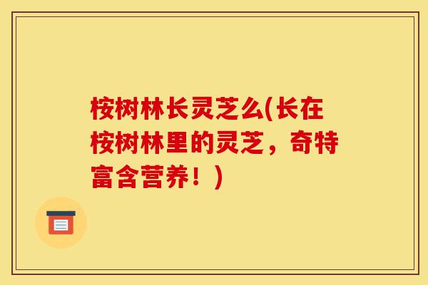 桉树林长灵芝么(长在桉树林里的灵芝,奇特富含营养!)-第1张图片-灵芝之家 桉树林长灵芝么(长在桉树林里的灵芝,奇特富含营养!)-第1张图片-灵芝之家