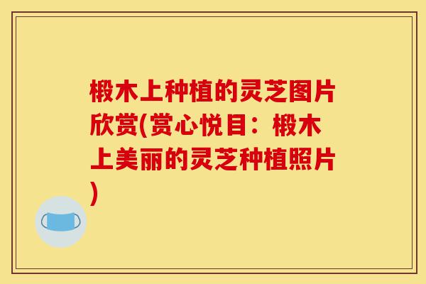 椴木上种植的灵芝图片欣赏(赏心悦目:椴木上美丽的灵芝种植照片)-第1张图片-灵芝之家 椴木上种植的灵芝图片欣赏(赏心悦目:椴木上美丽的灵芝种植照片)-第1张图片-灵芝之家