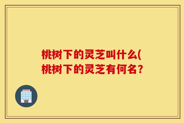 桃树下的灵芝叫什么(桃树下的灵芝有何名?-第1张图片-灵芝之家 桃树下的灵芝叫什么(桃树下的灵芝有何名?-第1张图片-灵芝之家